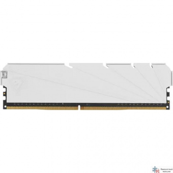 Netac DDR4 DIMM 8GB NTSSD4P32SP-08W PC4-25600, 3200MHz